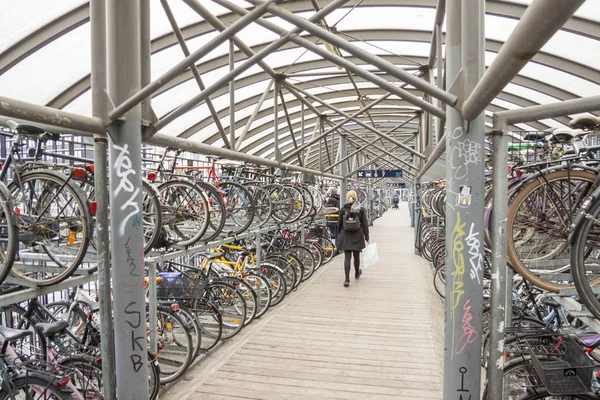 Aarhus Dania Maja 2017 Rowerów Parking Centrum Miasta Pobliżu Dworca — Zdjęcie stockowe