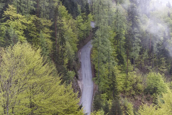 Luchtfoto op de route van één land-bos. — Stockfoto