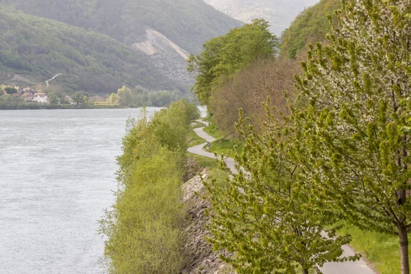 Vias de bicicleta no rio Danúbio - Áustria — Fotografia de Stock