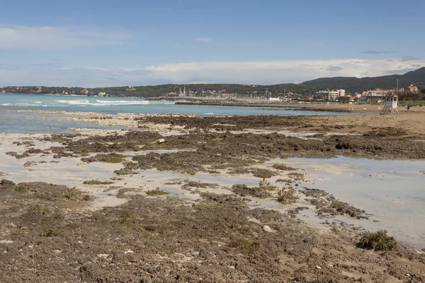 Playa blanca de Rosignano - Italia, Toscana . — Foto de Stock