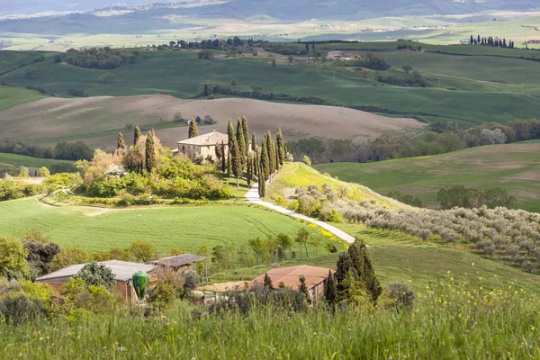 Farma v Tosclibovolném, Itálie. — Stock fotografie