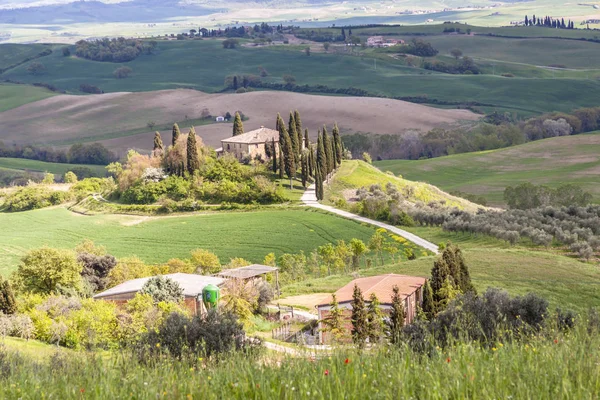 Bauernhof in der Toskana, Italien. — Stockfoto