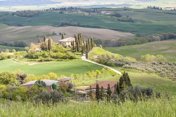 Farma v Tosclibovolném, Itálie. — Stock fotografie