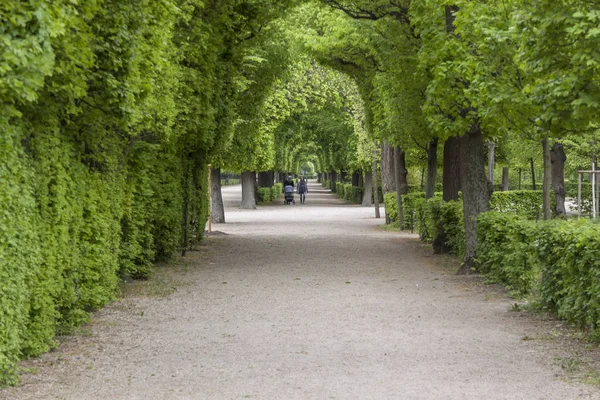 公園の路地, ウィーン, オーストリア. — ストック写真