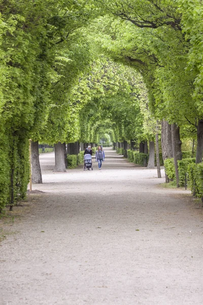 公園の路地, ウィーン, オーストリア. — ストック写真