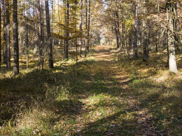 Krajowa trasa wiejska - jesień. — Zdjęcie stockowe