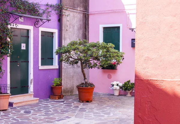 Kleurrijke huizen op burano — Stockfoto