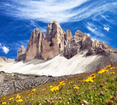 Drei Zinnen veya Tre Cime di Lavaredo güzel ile çayır, Sextener Dolomiten veya Dolomiti di Sesto, Güney Tirol, Dolomites dağlar görünümü, İtalyan Alpleri çiçekli