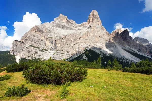 Dağ Çam Güney Tirol Dolomites Dağlar Talyanca Avrupa Alpleri Ile — Stok fotoğraf