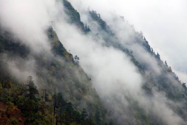 dağ yağmur ormanları, Makalu yazar Milli Parkı, Nepal Himalayalar görünümünden