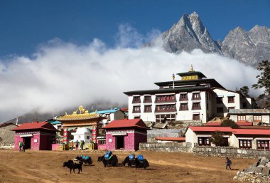 Khumbu Vadisi 'ndeki en iyi manastır olan Tengboche Manastırı, Everest ana kampı, Sagarmatha Ulusal Parkı, Solukhumbu, Nepal Himalayas Dağları' na gider.