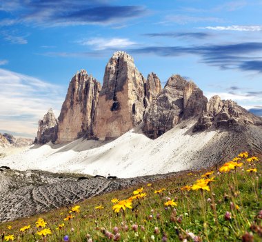 Drei Zinnen veya Tre Cime di Lavaredo güzel ile çayır, Sextener Dolomiten veya Dolomiti di Sesto, Güney Tirol, Dolomites dağlar görünümü, İtalyan Alpleri çiçekli