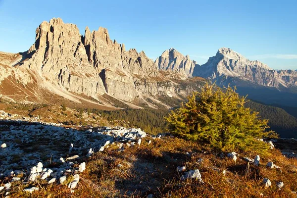 意大利阿尔卑斯山多洛米特山 Cima Ambrizzola Croda Lago Tofane Gruppe 的早晨全景 — 图库照片