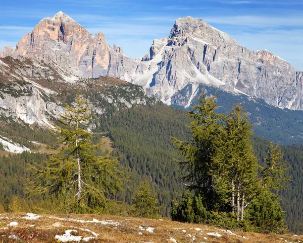 Larch Wood Tofano Tofana Tofane Gruppe Alps Dolomities Mountains Itália — Fotografia de Stock