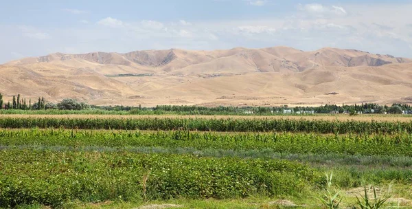 Φεργκάνα Fargona Κοιλάδα Στην Κιργιζία Οριζόντια Πανοραμική Προβολή — Φωτογραφία Αρχείου