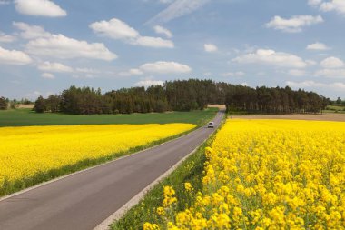 Kolza tohumu alan, kanola veya kolza Latince Brassica Napus, bitki yeşil enerji ve petrol endüstrisi, kolza tohumu ve road, manzara panoramik manzaralı