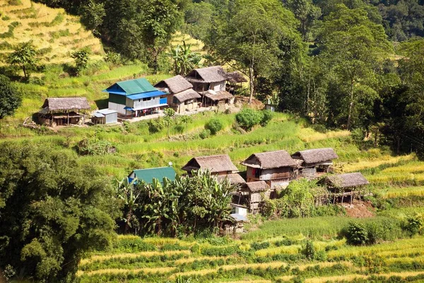 Падди Рисовые Поля Примитивные Домики Непальских Деревнях Красивый Пейзаж Горах — стоковое фото