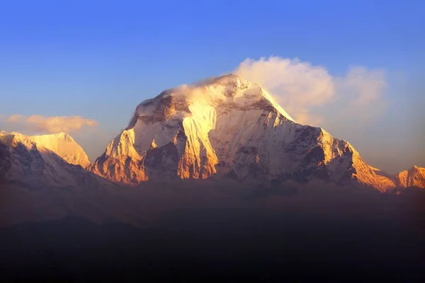 Vue Panoramique Matin Sur Mont Dhaulagiri Depuis Point Vue Poon — Photo