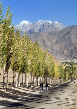 Pamir yolu, yol ve sokak kavak ağaçları ve Pamir Dağları, Vahan koridor ve vadi, Gorno-Badakhshan bölge, Tacikistan ve Afganistan sınır, dünyanın çatısı