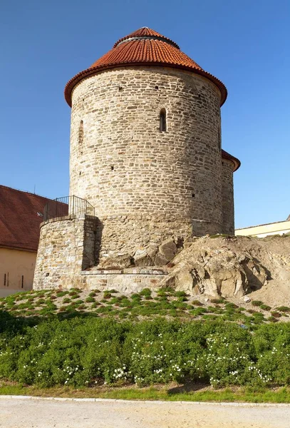 Det Rotunda Catherine Tjeckiska Rotunda Svate Houses Znojmo Stad South — Stockfoto