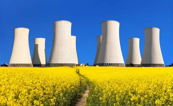 rapesed field nuclear power plant cooling tower