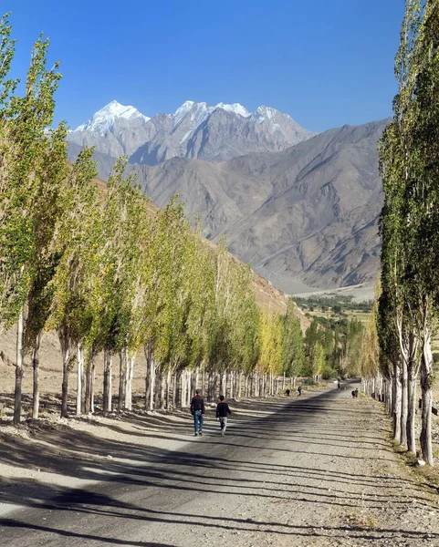 Pamir montaña Wakhan carretera y callejón de álamos — Foto de Stock