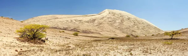 Cerro Blanco sand dune near Nasca panoramic view — Stock Photo, Image