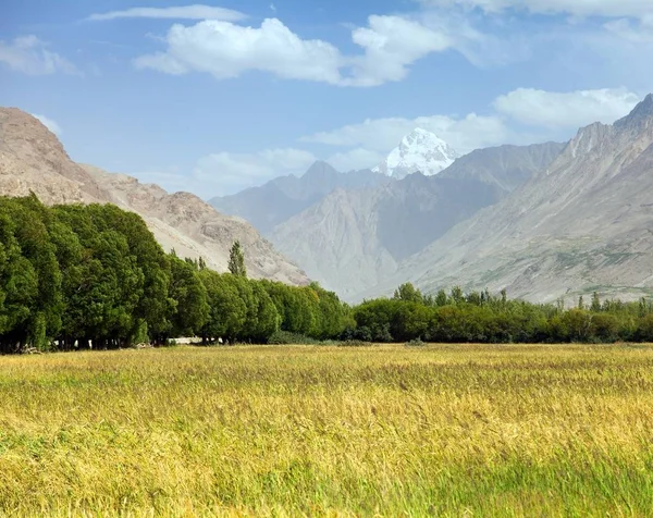 Campo de cereales en el valle de Wakhan, montañas Hindukush — Foto de Stock