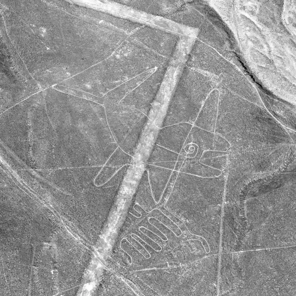 A baleia, Nazca linhas misteriosas e geoglifos — Fotografia de Stock