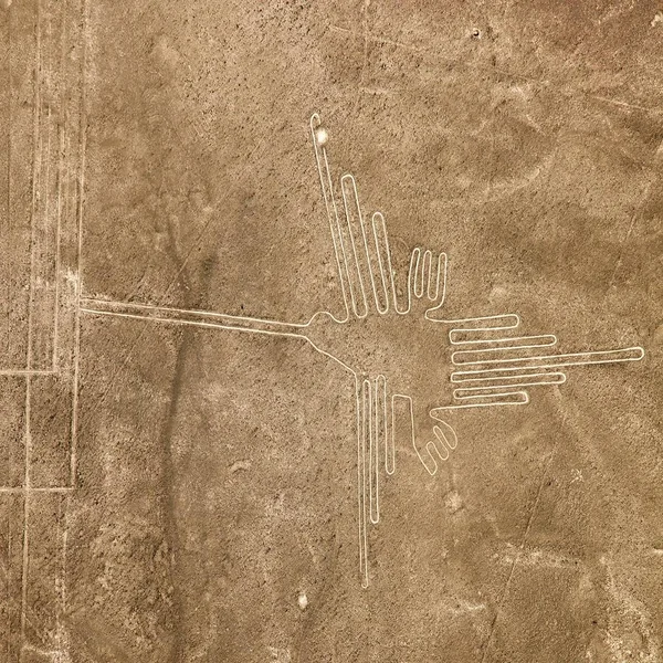 Hummingbird geoglyph Nazca mysterious geoglyphs — Stock Photo, Image