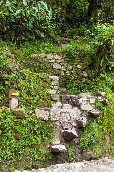 Machu Picchu, pathway to peruvian incan town — Stock Photo, Image