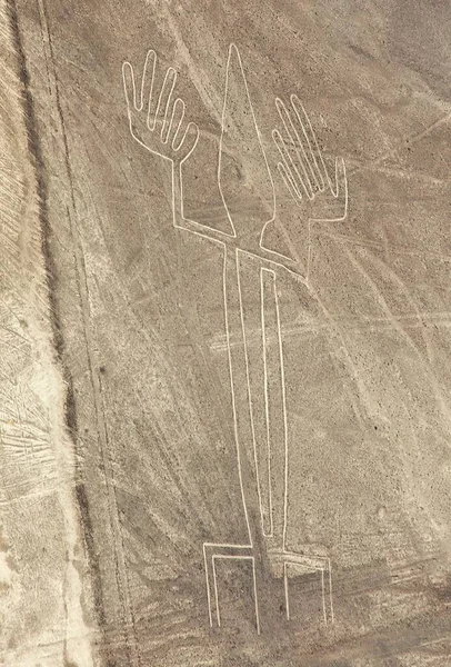 Kertenkele Geoglifleri Nazca Veya Nasca Gizemli Çizgiler Geoglifler Peru Sepia — Stok fotoğraf