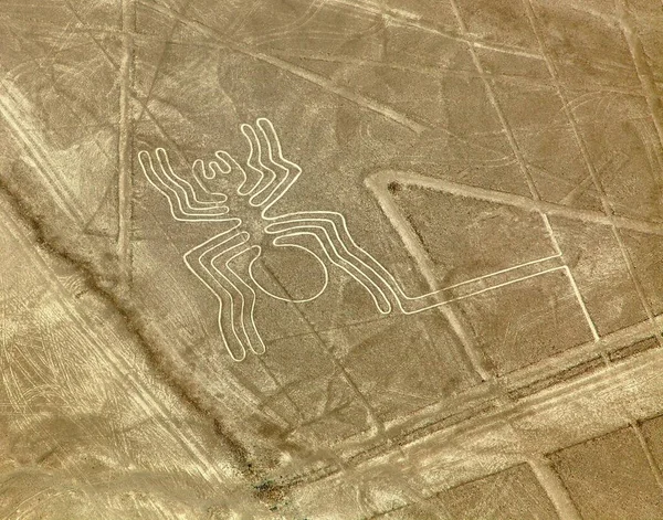 Spider Geoglyphe Nazca Oder Nasca Geheimnisvolle Linien Und Geoglyphen Luftaufnahme — Stockfoto