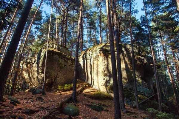 Mastale Rockies Veya Toulovcovy Mastale Rock Şehri Prosec Kasabası Yakınlarında — Stok fotoğraf