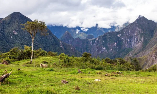 Machu Picchu Inca Ciudad Vista Desde Salkantay Trek Área Cusco — Foto de Stock