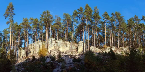 Mastale Klippor Eller Toulovcovy Mastale Rock Stad Nära Prosec Stad — Stockfoto