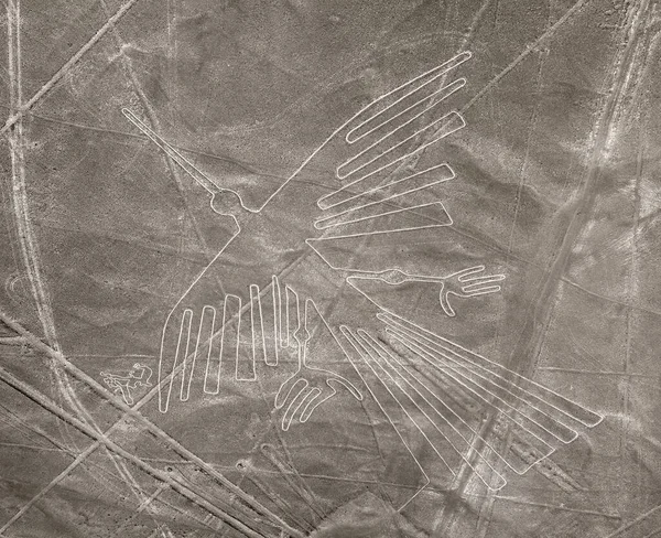 Condor Geoglyph Nazca Nasca Mysterious Lines Geoglyphs Aerial View Sepia — Stock Photo, Image