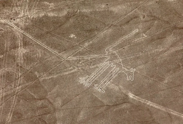 Dog Geoglyph Sepia Colored Nazca Nasca Mysterious Lines Geoglyphs Aerial — Stock Photo, Image