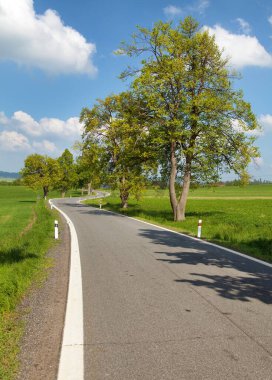 Bahar zamanı veya ilkbahar sokağı ve yol, güzel bahar manzarası