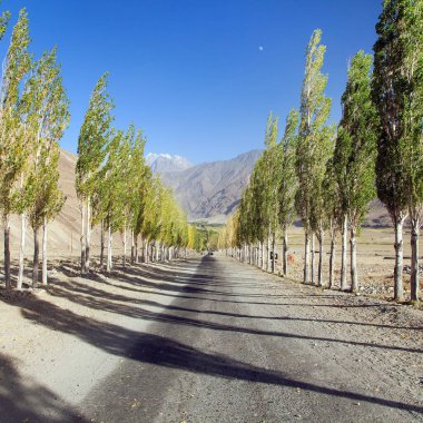 Pamir karayolu, kavak ağaçları ve Pamir dağları, Wakhan koridoru ve vadisi, Gorno-Badakhshan bölgesi, Tacikistan