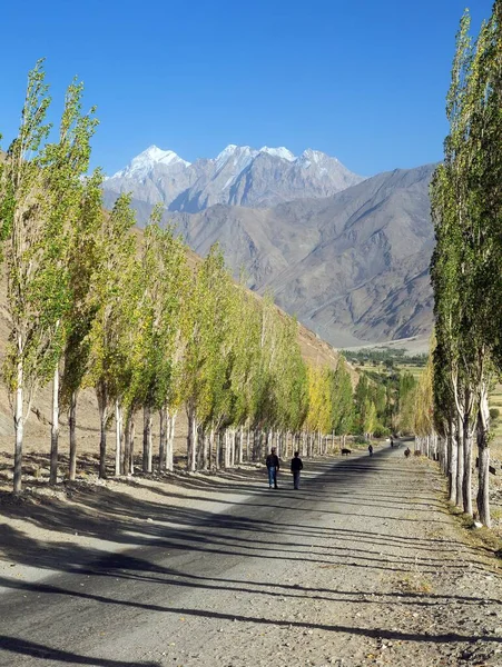 Pamír Dálnice Silnice Ulička Topolových Stromů Pohoří Pamír Wakhan Koridor — Stock fotografie