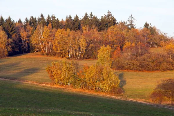 Autumny Landschap Van Boheemse Moravische Hoogland Tsjechische Republiek Europa — Stockfoto