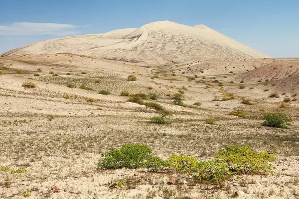 Cerro Blanco Песчаная Дюна Деревом Одна Самых Высоких Дюн Мире — стоковое фото