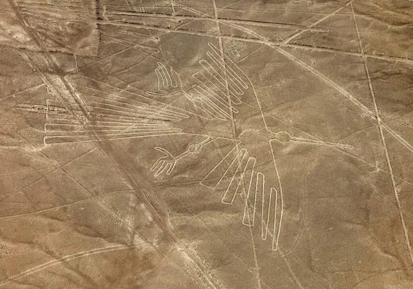 Géoglyphe Condor Nazca Nasca Mystérieuses Lignes Géoglyphes Vue Aérienne Sépia — Photo