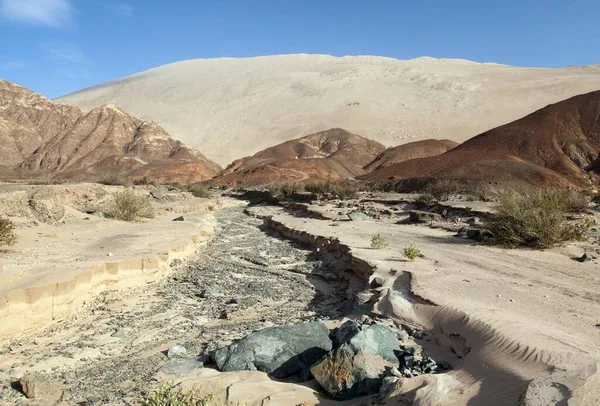 Sanddüne Cerro Blanco Eine Der Höchsten Dünen Der Welt Der — Stockfoto