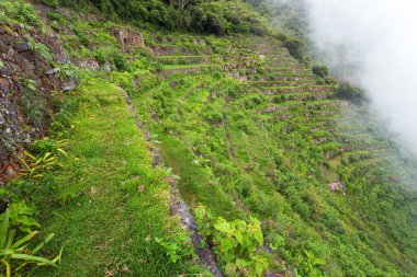 Choquequirao, Peru 'daki en iyi İnka harabelerinden biri. Machu Picchu yakınlarında Choquequirao İnka yürüyüş yolu. Peru 'daki Cuzco bölgesinde. Teraslı alanlar