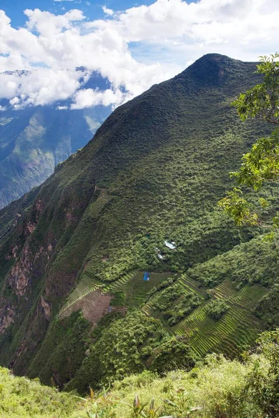 Choquequirao Una Las Mejores Ruinas Incas Del Perú Sendero Trekking — Foto de Stock