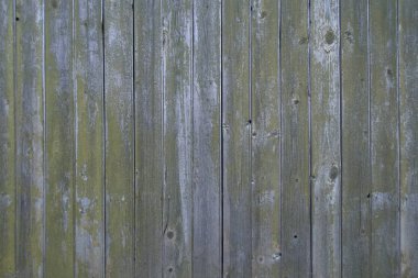 Yeşil boya tahtaları soyuyor. Ahşap eski duvar. Doku.