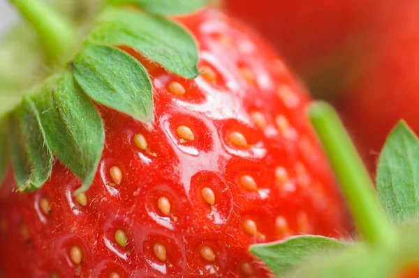 Macro Closeup of fresh red and ripe strawberries — Stock Photo, Image