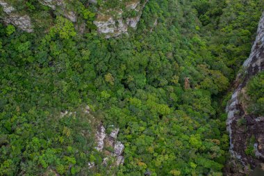 Mükemmel yeşil ve yoğun tropik yağmur ormanı. Güneşli bir günde Arial görünümü arka plan.